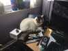 2020-05-14:Aineko Desk
