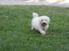 20200515163507-DSCN2366.JPG