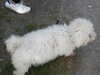 20200515163519-DSCN2367.JPG