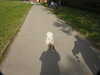 20200515164907-DSCN2368.JPG