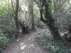 20200515165510-DSCN2374.JPG