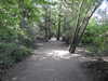 20200515165545-DSCN2376.JPG