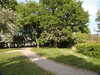 20200515170131-DSCN2378.JPG