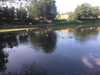 20200521164250-Photo_21-05-2020,_16_42_50.jpg