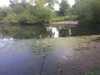 20200521164717-Photo_21-05-2020,_16_47_17.jpg