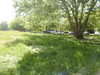 20200525143753-DSCN2381.JPG