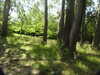 20200525144454-DSCN2383.JPG