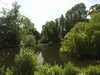 20200525144650-DSCN2384.JPG