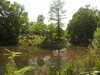 20200525145041-DSCN2387.JPG
