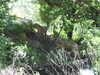 20200525145103-DSCN2388.JPG