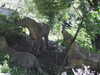 20200525145109-DSCN2389.JPG