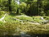 20200525145659-DSCN2400.JPG