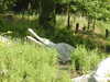 20200525145746-DSCN2404.JPG