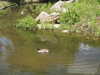 20200525150051-DSCN2409.JPG