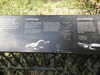 20200525150214-DSCN2410.JPG