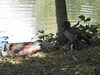 20200525150336-DSCN2415.JPG