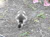 20200525150646-DSCN2424.JPG