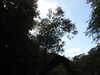 20200525151018-DSCN2426.JPG