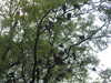 20200525151023-DSCN2427.JPG