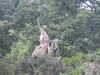 20200525151256-DSCN2431.JPG