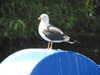 20200525151418-DSCN2435.JPG