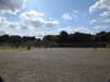 20200525160946-DSCN2446.JPG