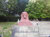 20200525162302-DSCN2452.JPG