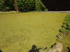 20200525162920-DSCN2457.JPG