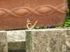 20200526124216-DSCN2461.JPG
