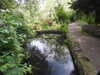 20200527162901-DSCN2480.JPG