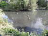 20200527163112-DSCN2485.JPG