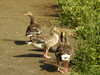 20200527163120-DSCN2486.JPG