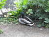 20200527163803-DSCN2496.JPG