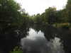 20200527163939-DSCN2501.JPG