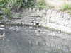 20200527163948-DSCN2502.JPG