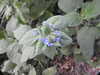 20200527164218-DSCN2504.JPG