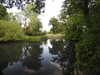 20200527164349-DSCN2506.JPG