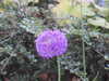 20200527164459-DSCN2508.JPG