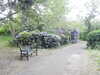 20200527164514-DSCN2509.JPG