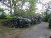 20200527164524-DSCN2510.JPG