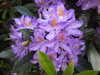 20200527164618-DSCN2513.JPG