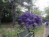 20200527164700-DSCN2514.JPG