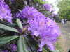 20200527164722-DSCN2516.JPG