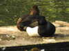 20200527165030-DSCN2521.JPG