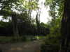 20200527165102-DSCN2522.JPG
