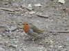 20200602162820-DSCN2525.JPG