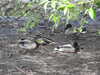 20200602164353-DSCN2531.JPG