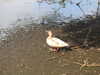 20200602164602-DSCN2534.JPG