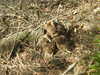 20200602164804-DSCN2536.JPG
