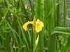 20200602164901-DSCN2538.JPG